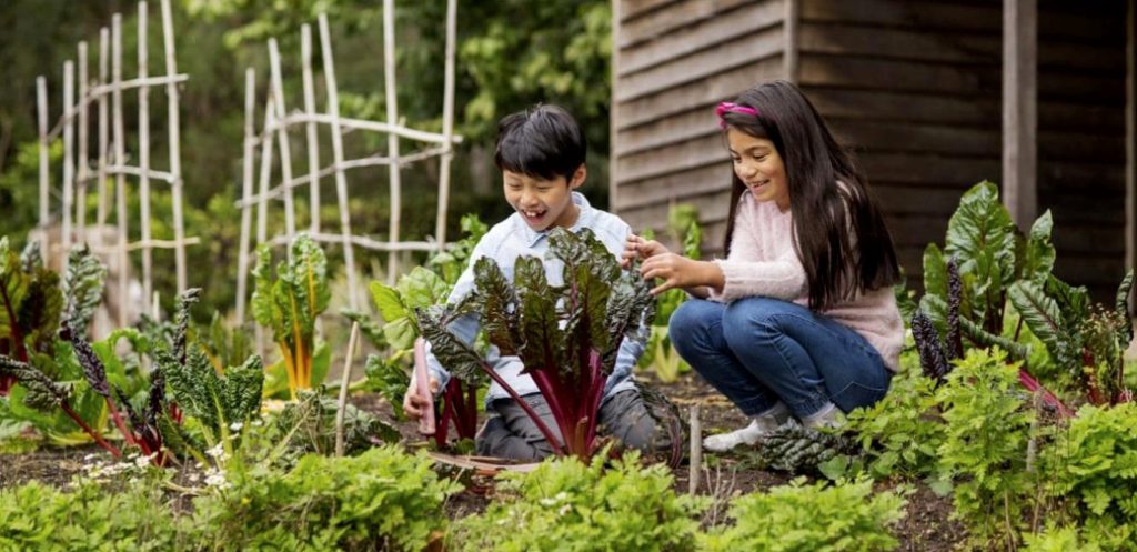 THE TOP SCHOOL HOLIDAY ACTIVITIES FOR LITTLE FOODIES